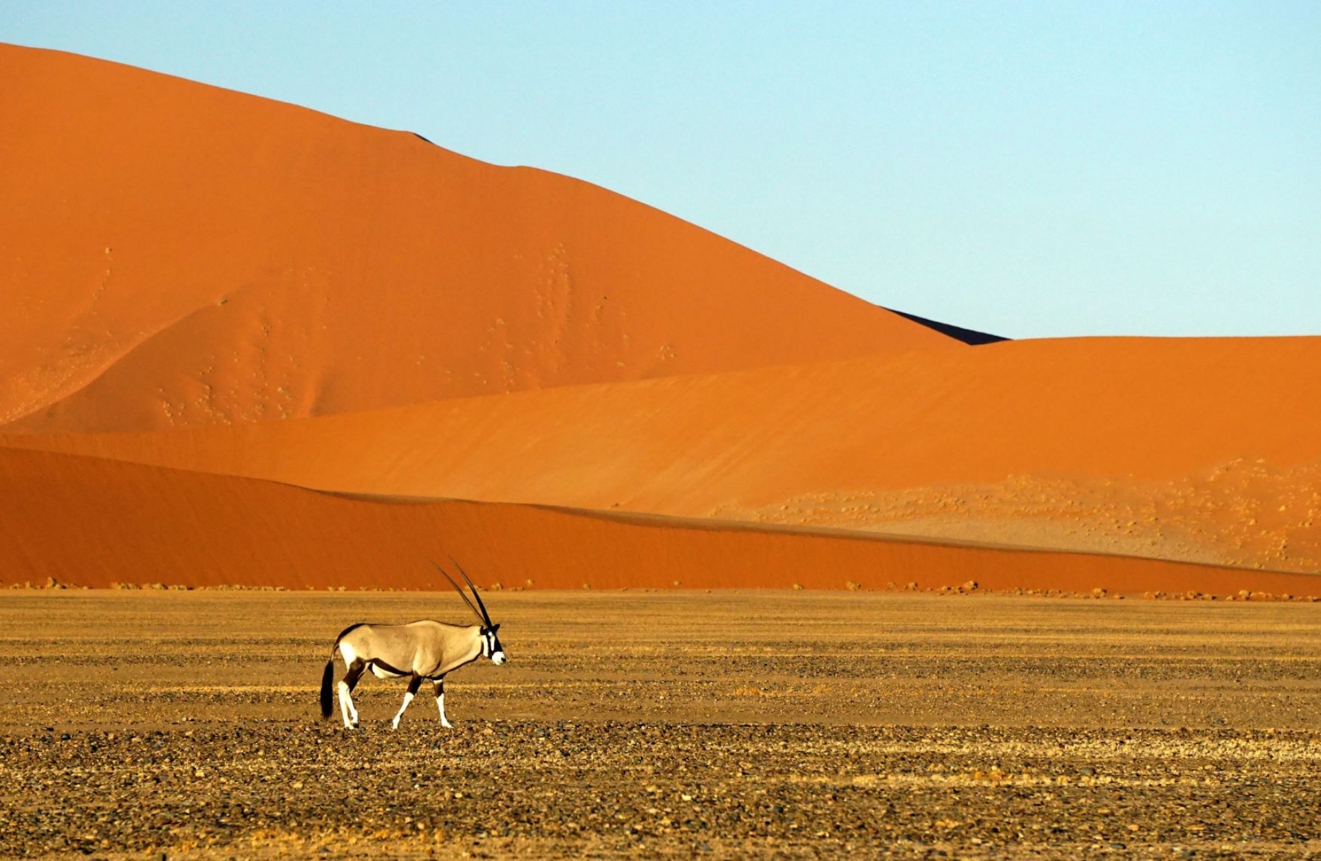 PAISAJES DE NAMIBIA [EXODE 2024]