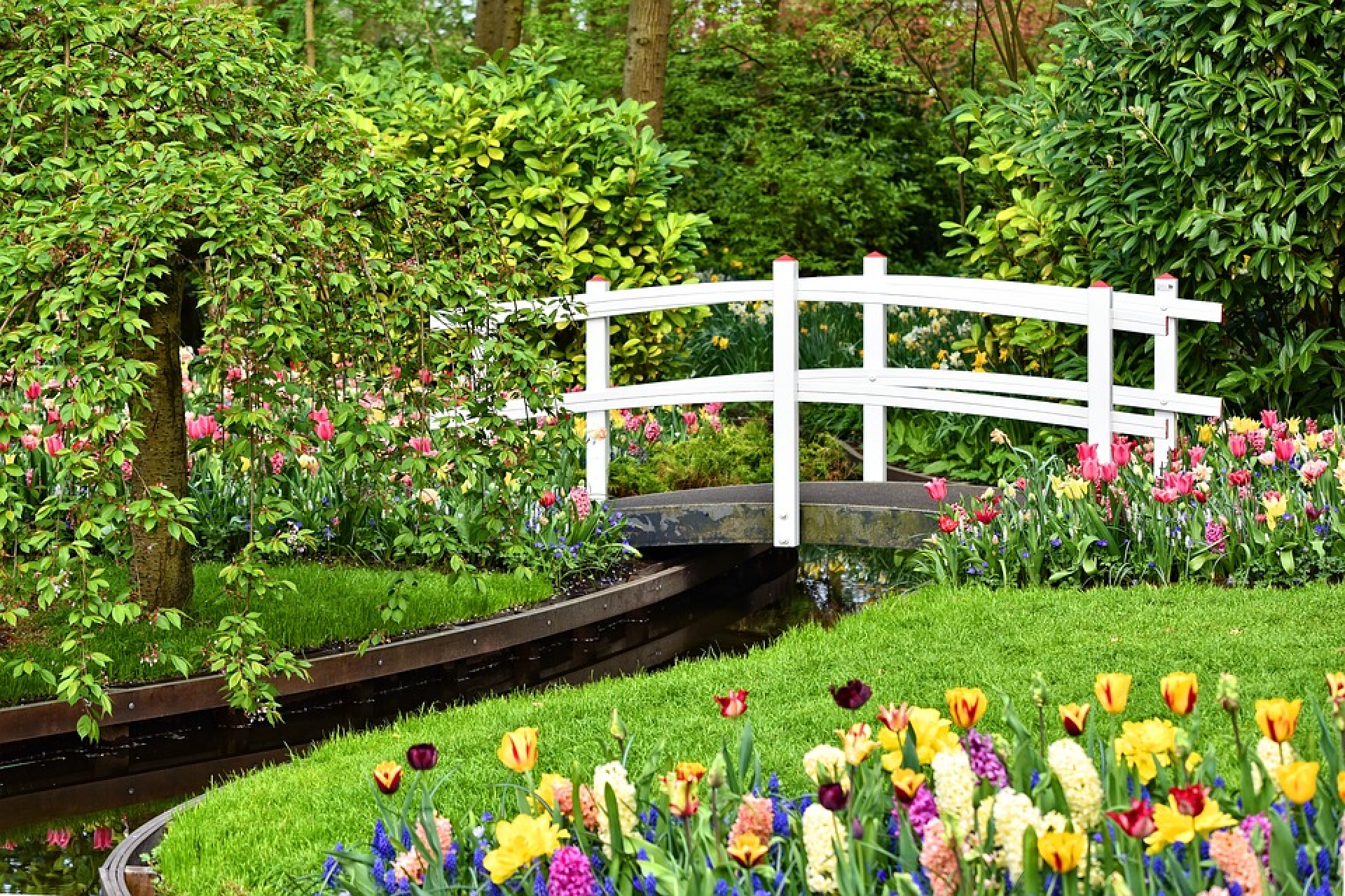 EL JARDÍN DE KEUKENHOF