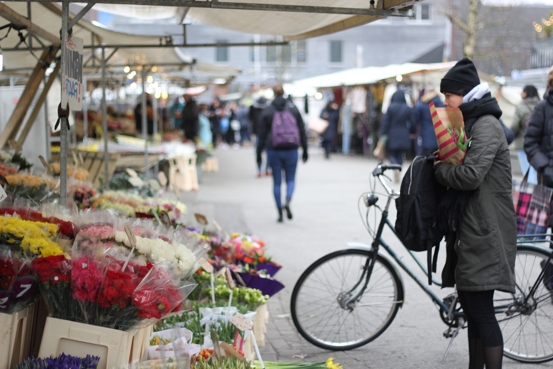 Por el sur de Holanda [BIKE 2024]