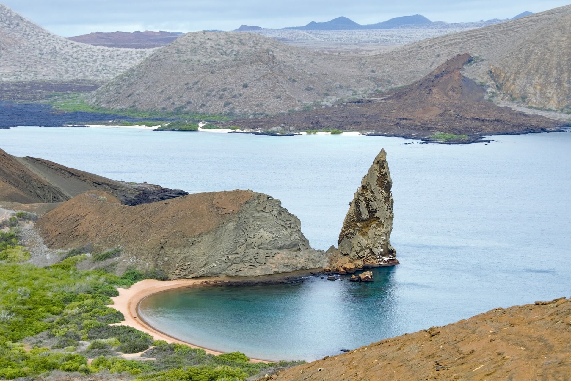 Cordillera Andina Amazonia y/o Galápagos [EXODE 2024]