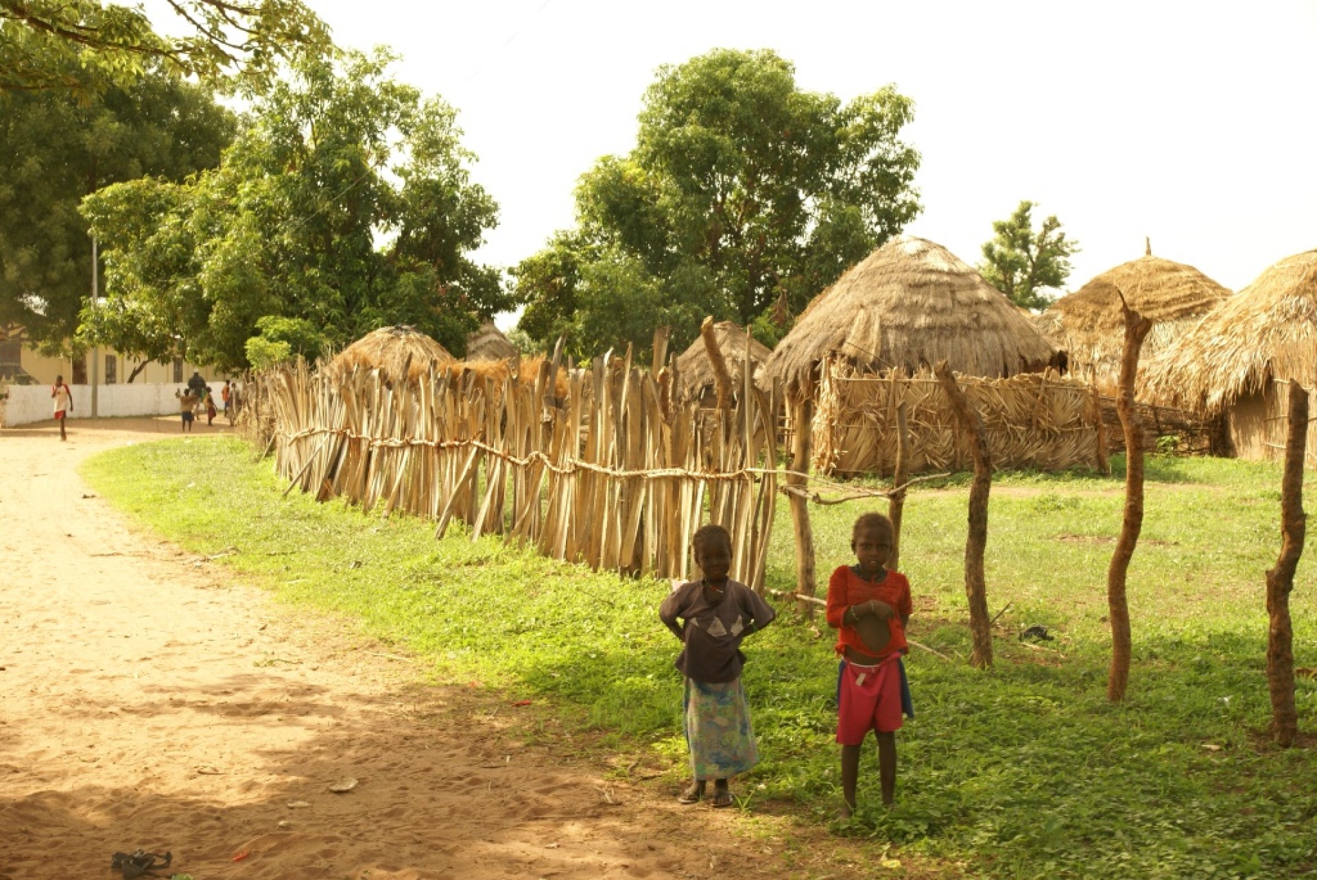 22JAN KANKURANG FESTIVAL GAMBIA [EXODE 2025]